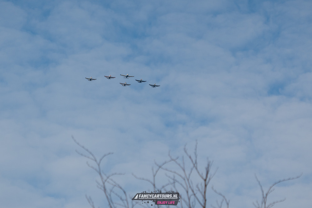 New Years Drive 2026