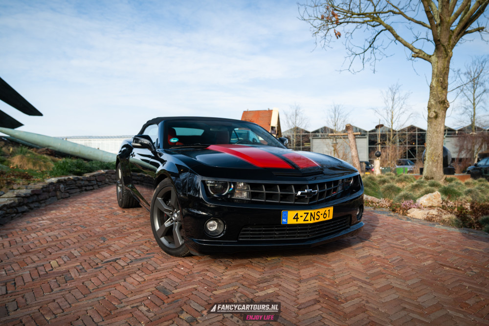 New Years Drive 2026