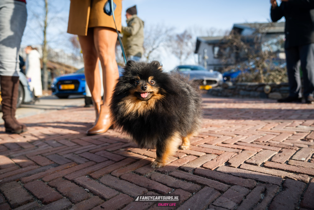 New Years Drive 2026