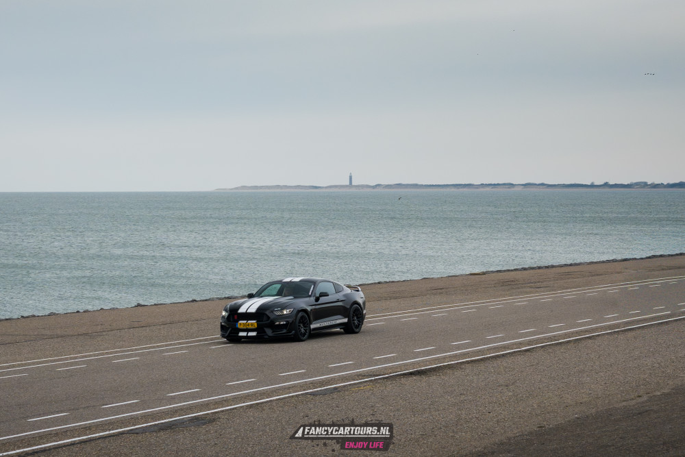 New Years Drive 2026