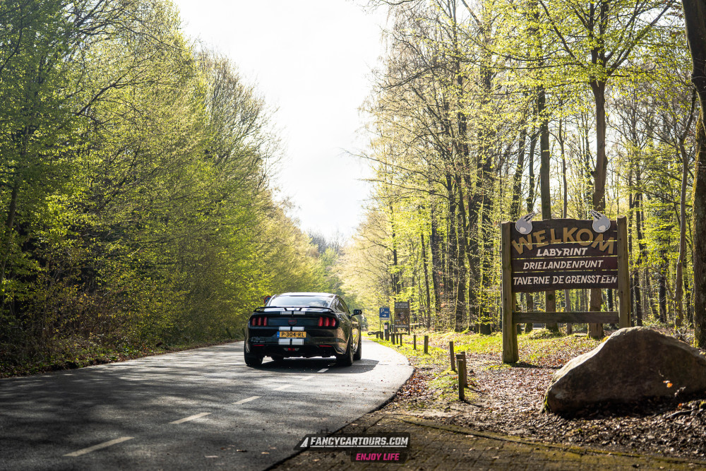 Luxemburg Syntess 2026