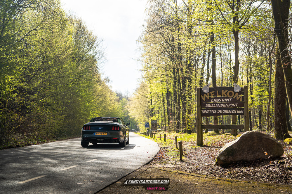 Luxemburg Syntess 2026