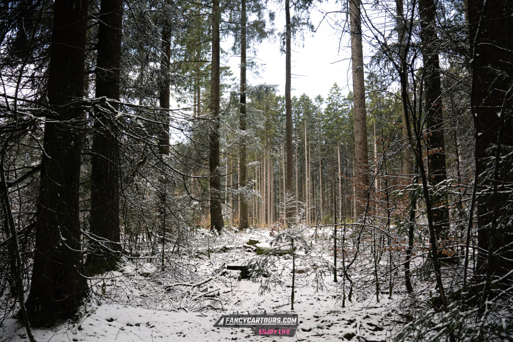 Luxemburg Syntess 2026