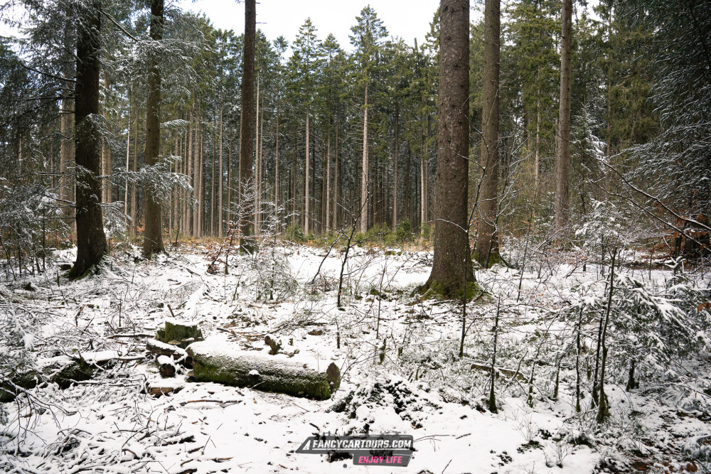 Luxemburg Syntess 2026