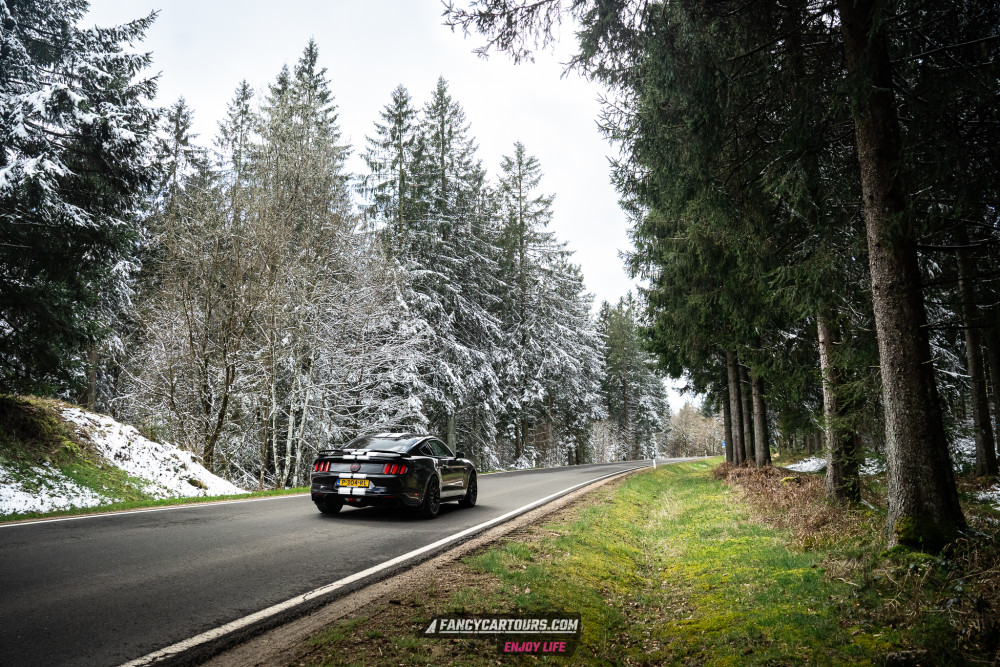 Luxemburg Syntess 2026