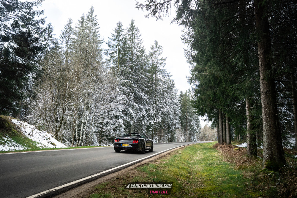 Luxemburg Syntess 2026