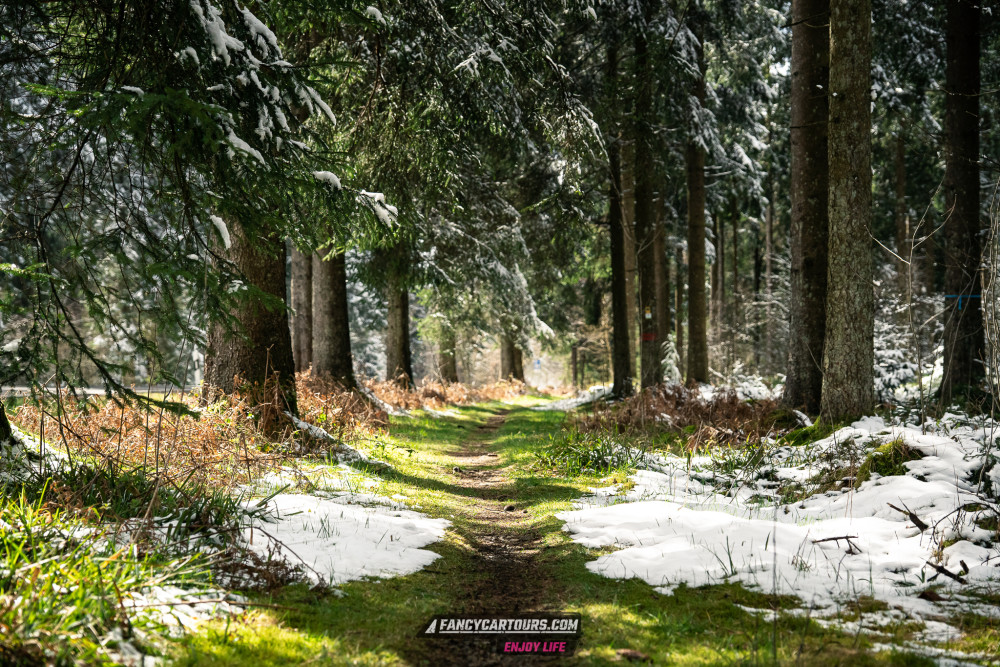 Luxemburg Syntess 2026