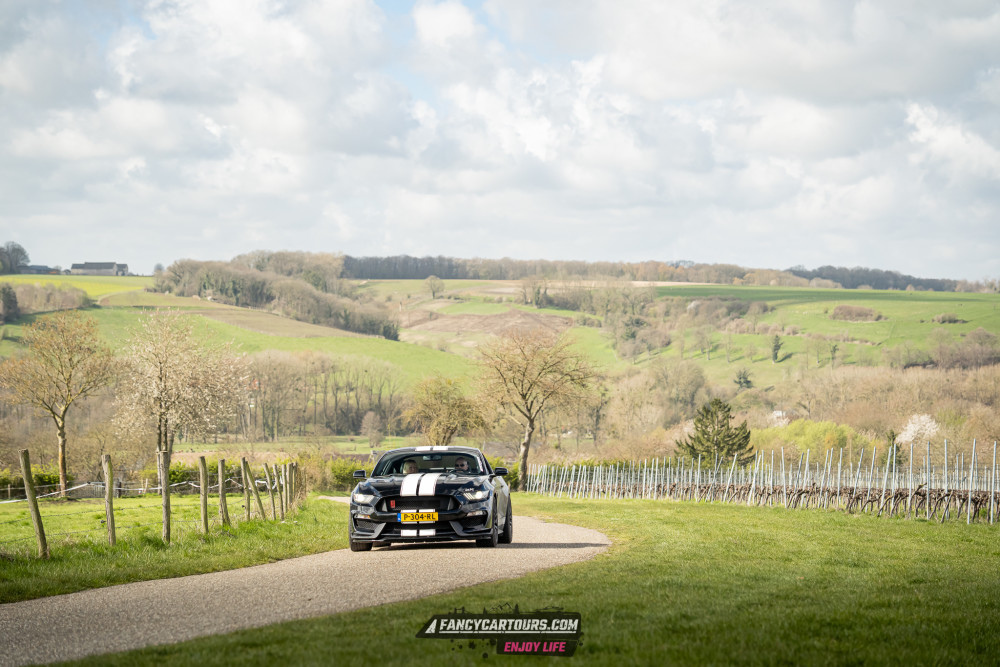 Luxemburg Syntess 2026