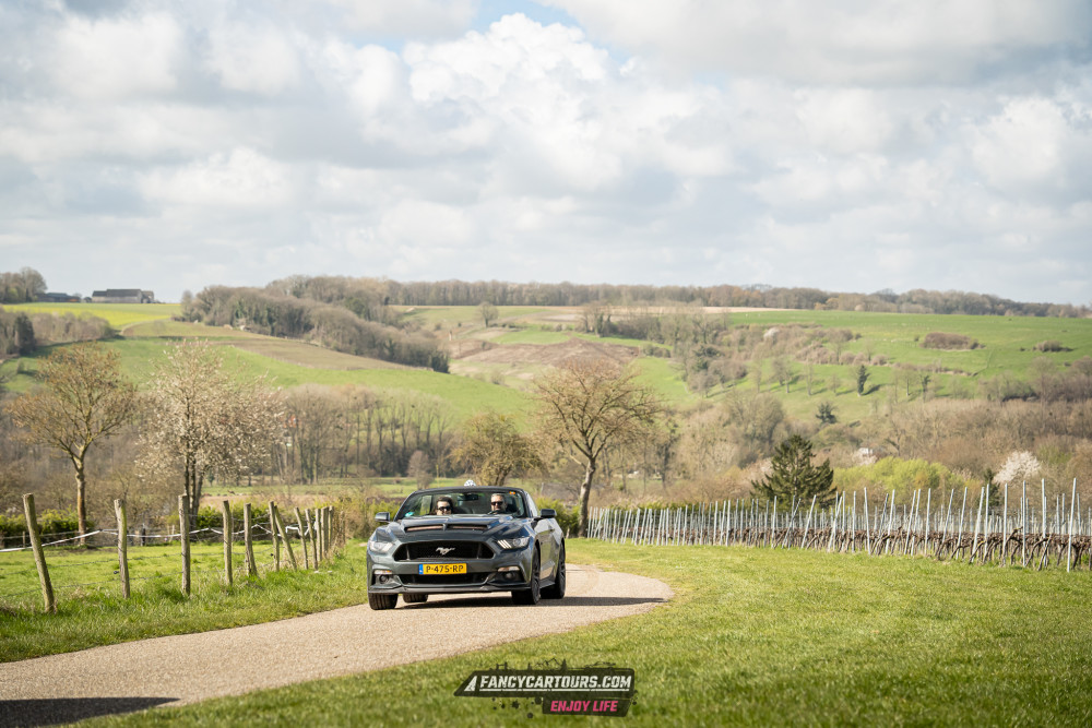 Luxemburg Syntess 2026