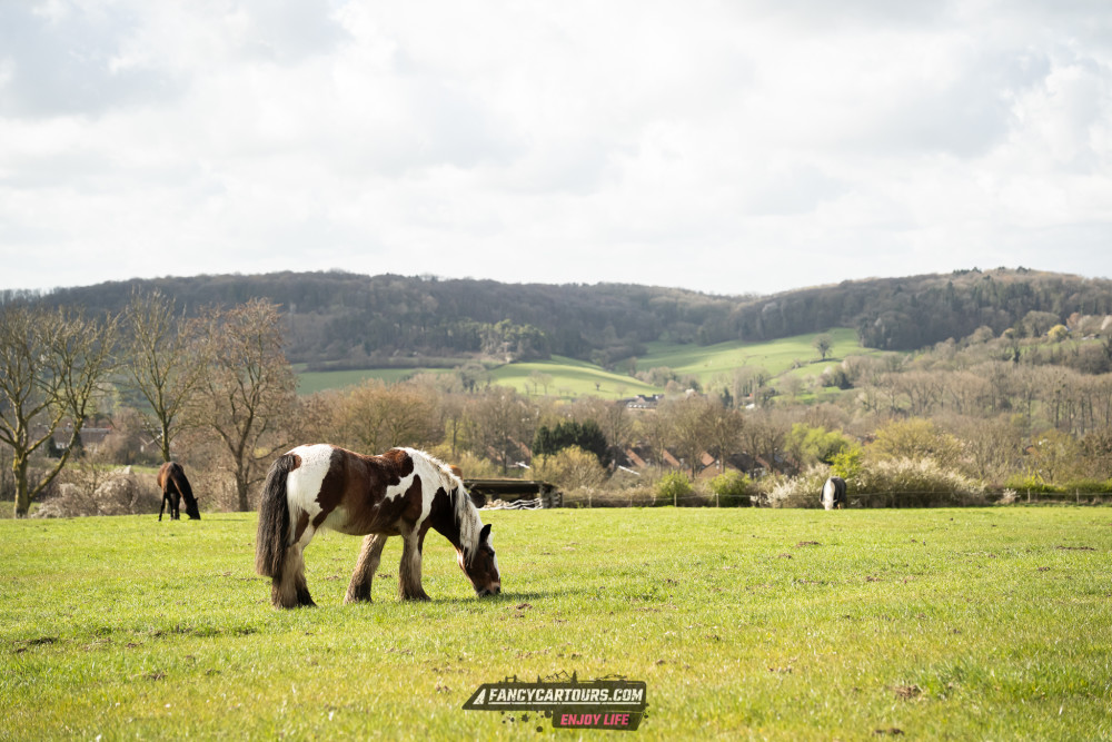 Luxemburg Syntess 2026