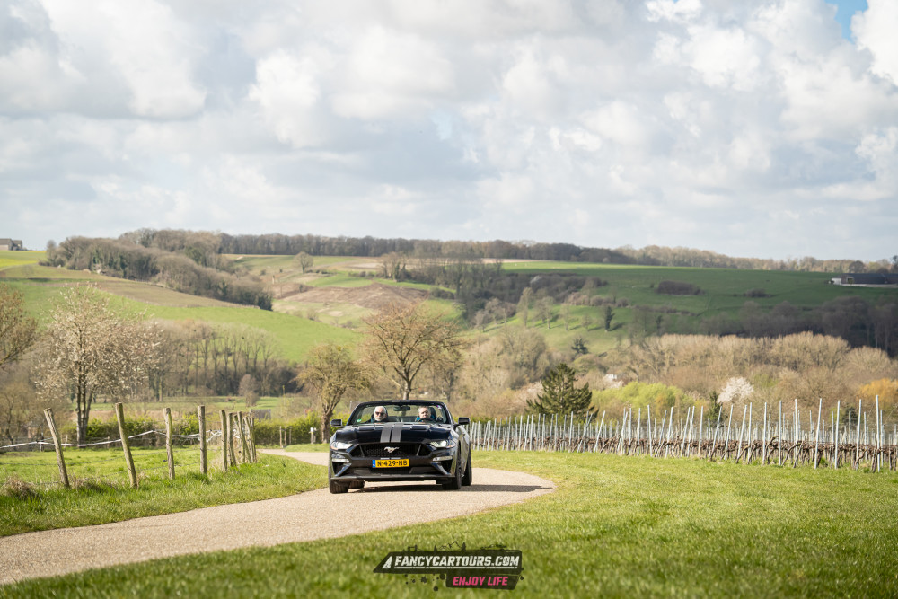 Luxemburg Syntess 2026