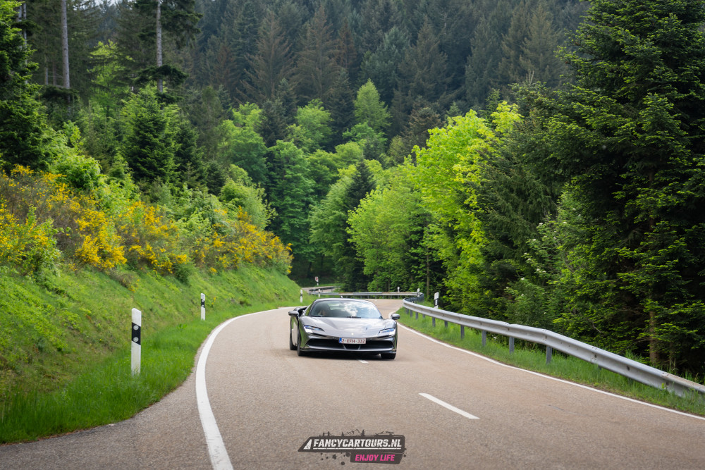 Black Forest 2026