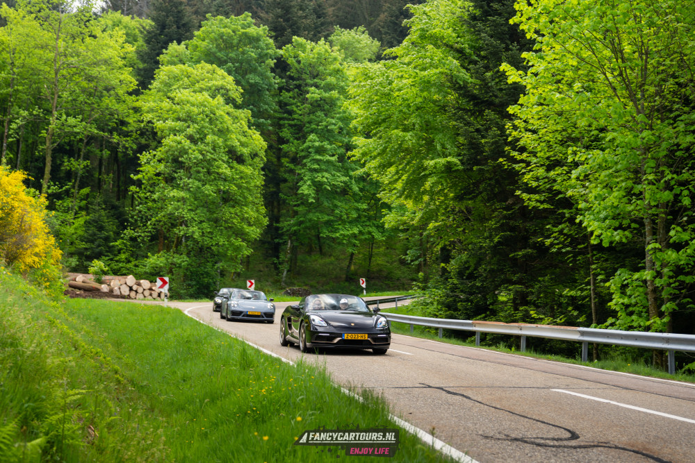 Black Forest 2026