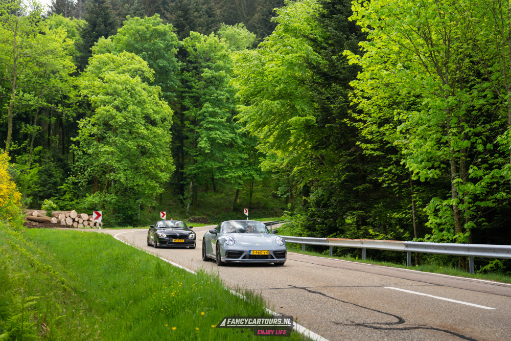 Black Forest 2026