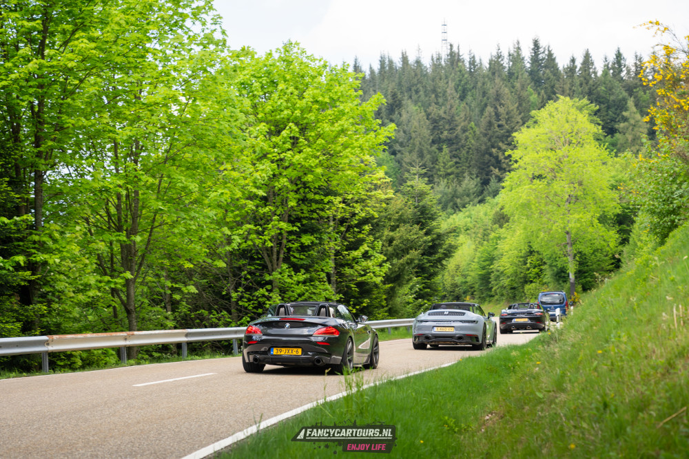 Black Forest 2026