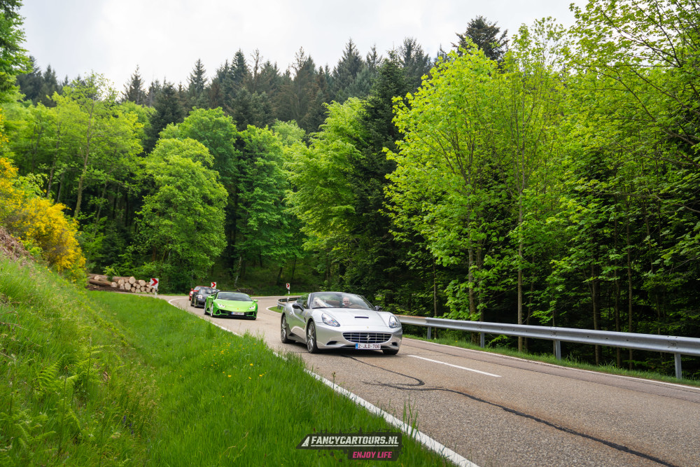 Black Forest 2026