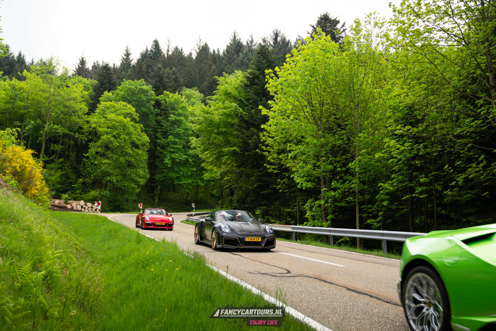 Black Forest 2026