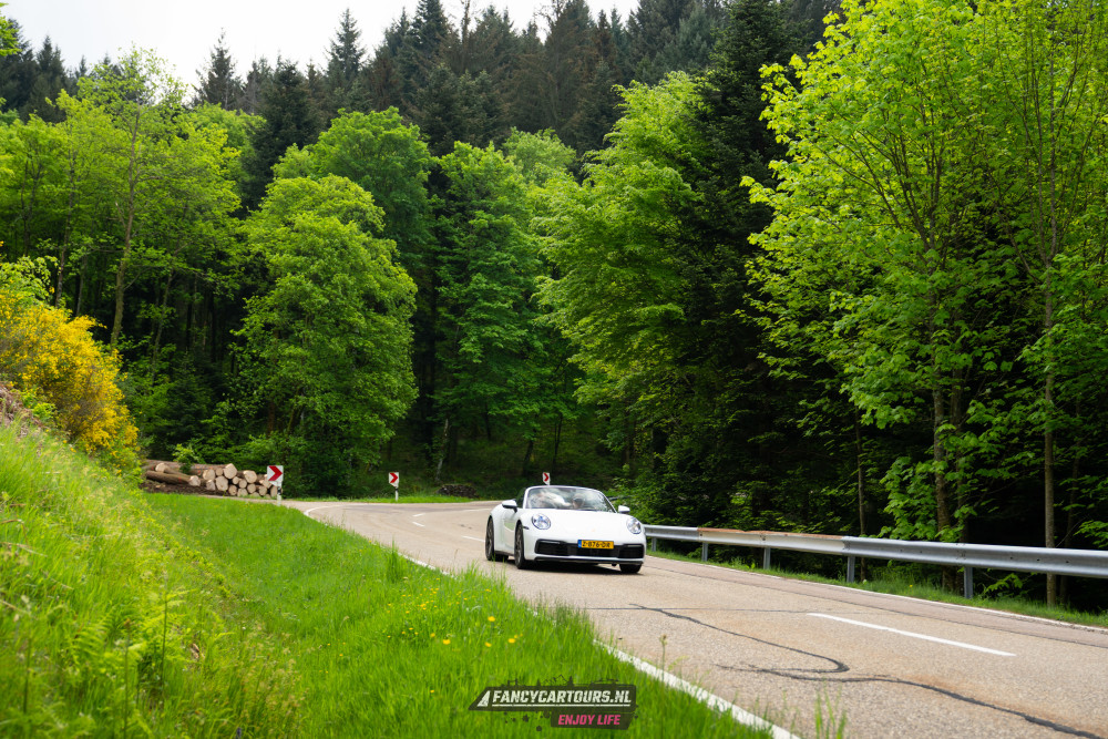Black Forest 2026