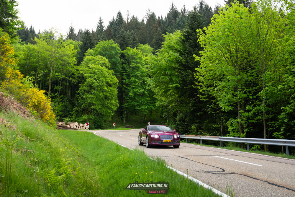 Black Forest 2026