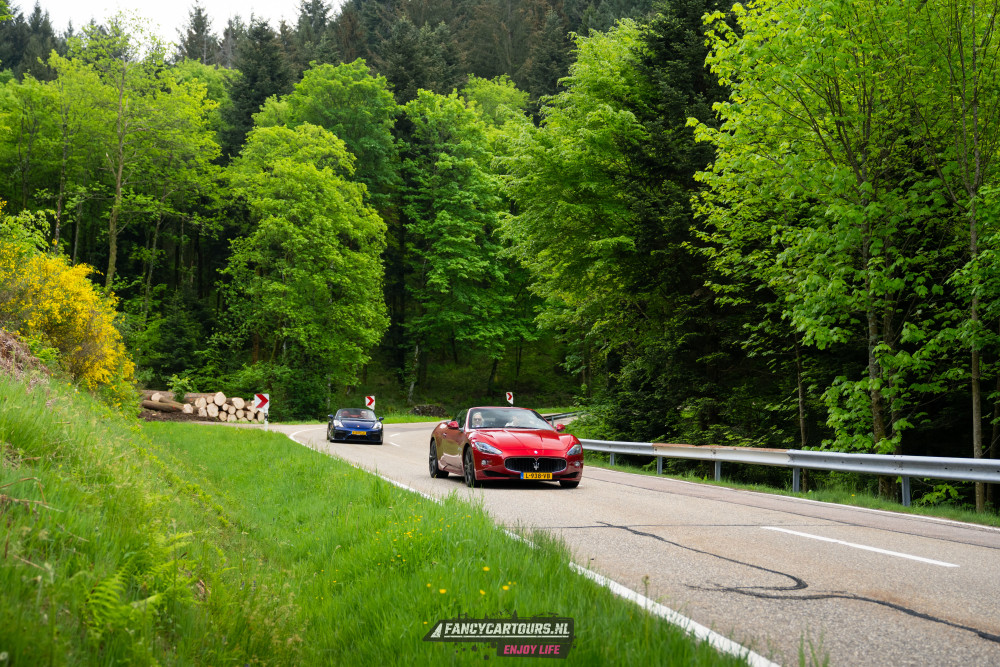 Black Forest 2026