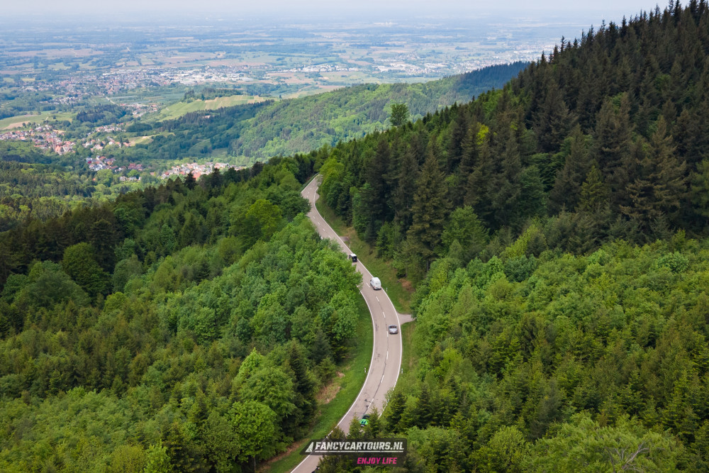 Black Forest 2026