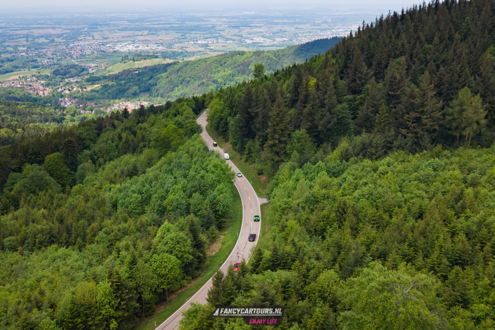 Black Forest 2026