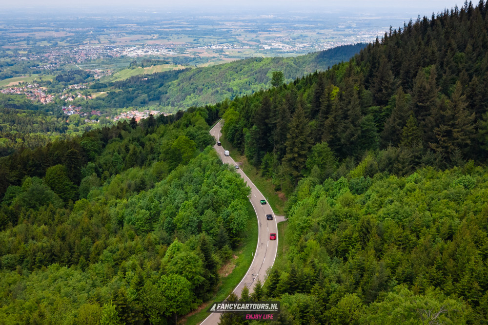 Black Forest 2026