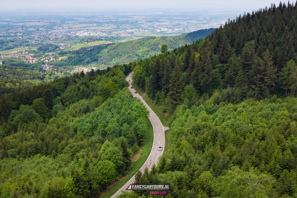 Black Forest 2026