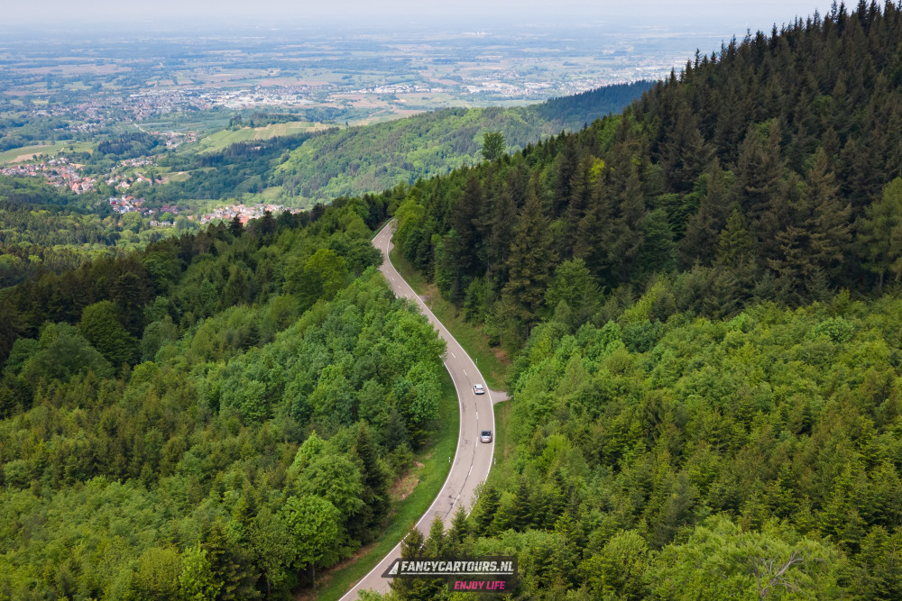 Black Forest 2026