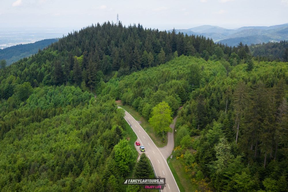 Black Forest 2026