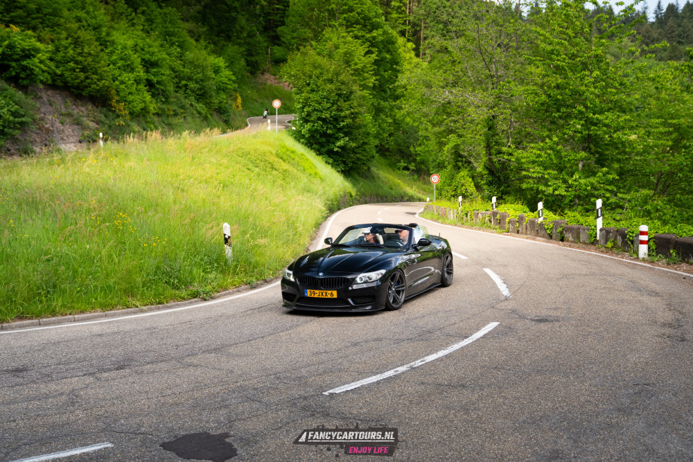 Black Forest 2026