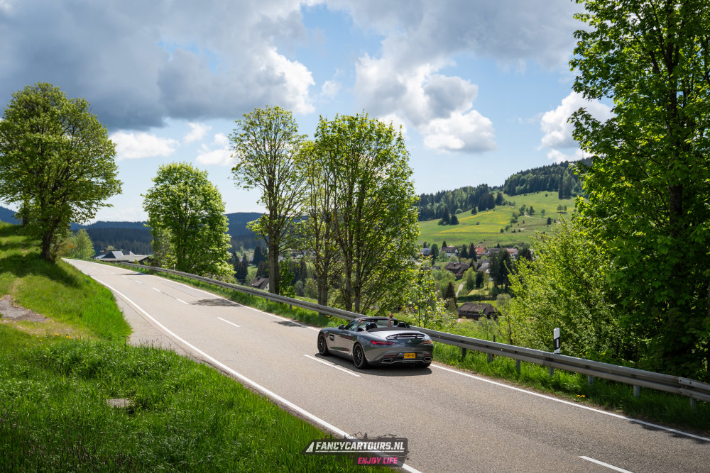 Black Forest 2026