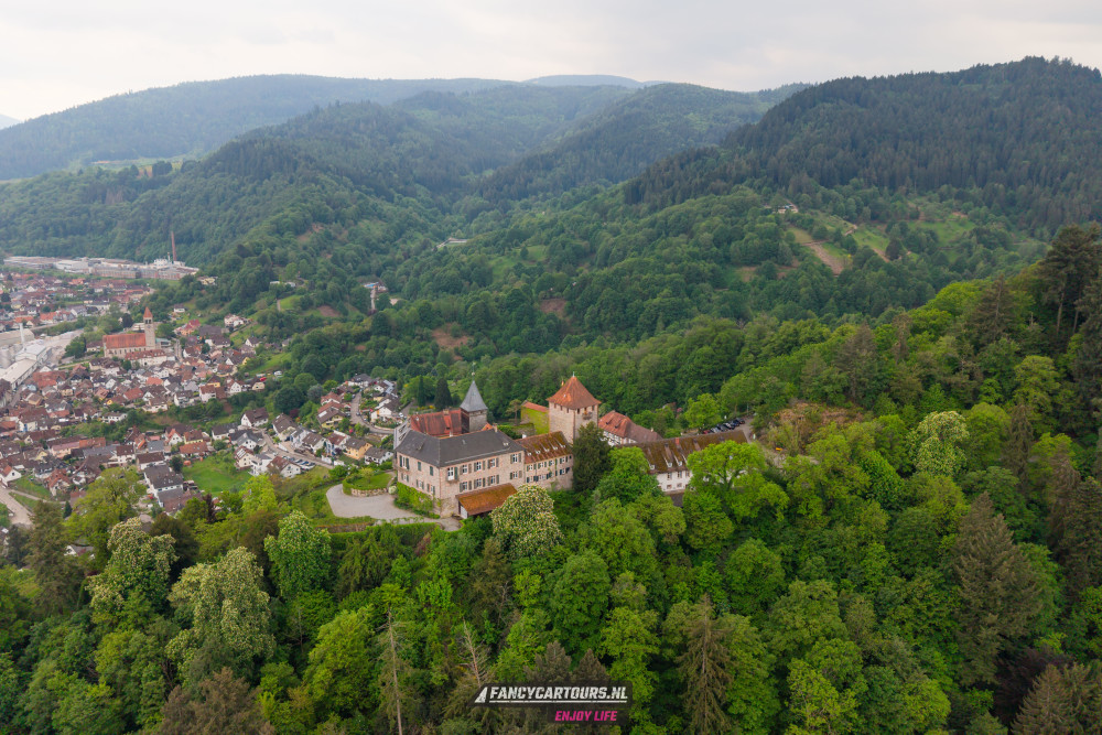 Black Forest 2026