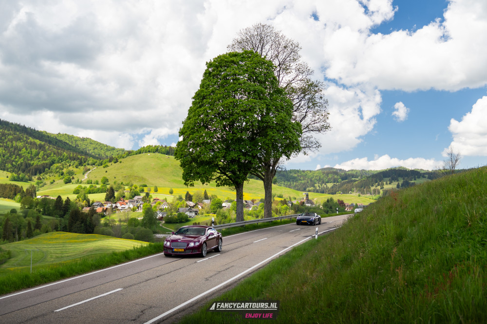 Black Forest 2026