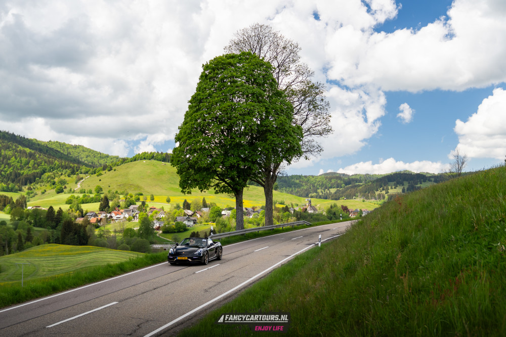 Black Forest 2026