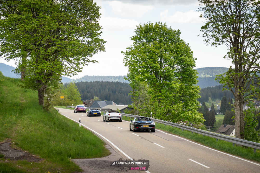 Black Forest 2026