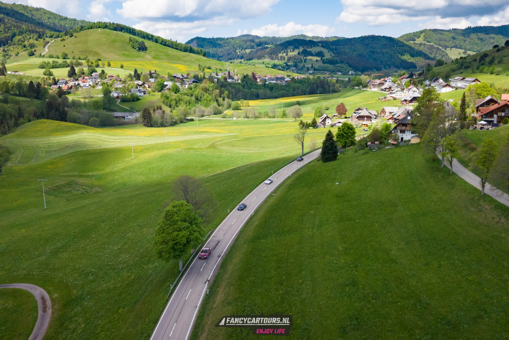 Black Forest 2026