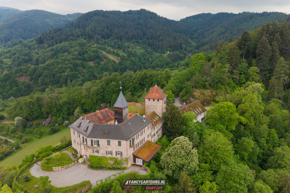 Black Forest 2026