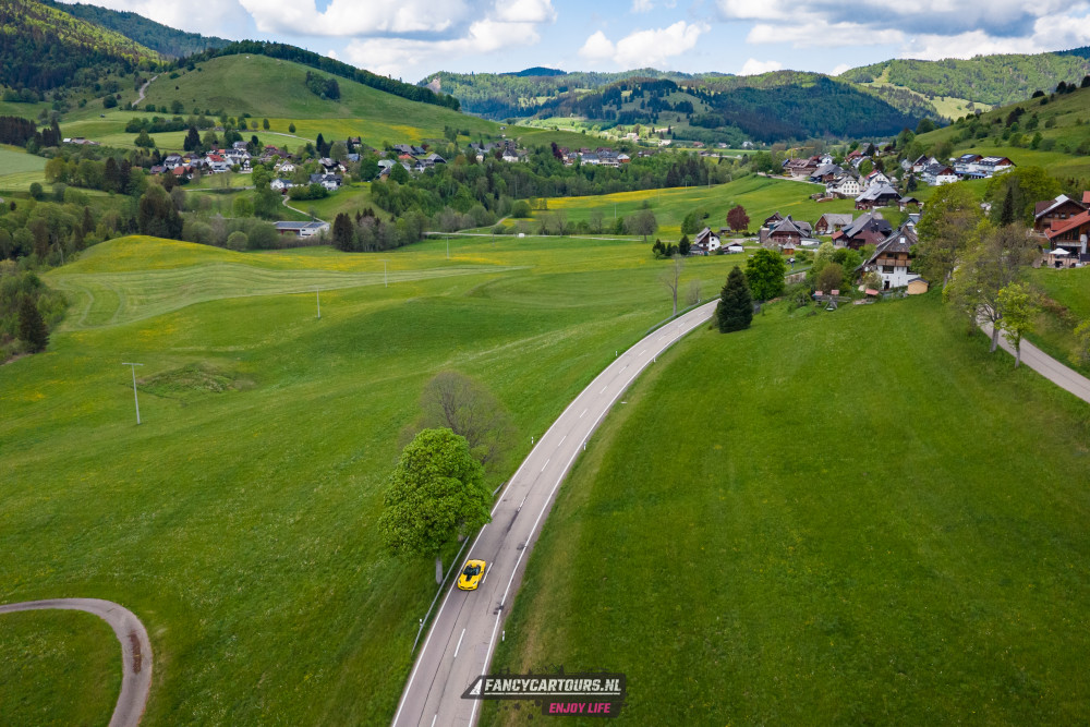 Black Forest 2026