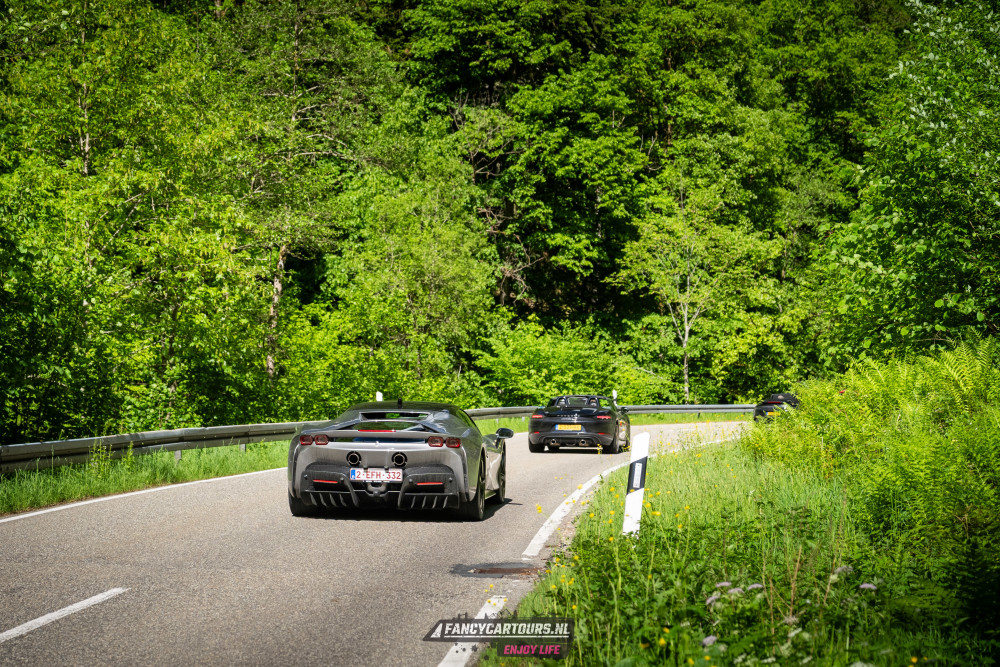 Black Forest 2026