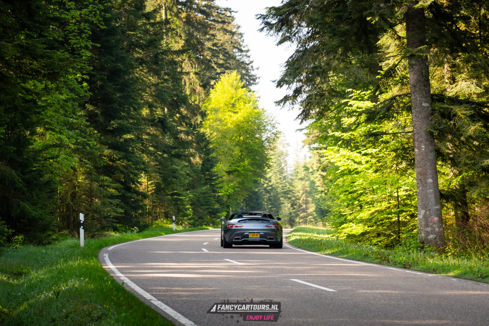 Black Forest 2026