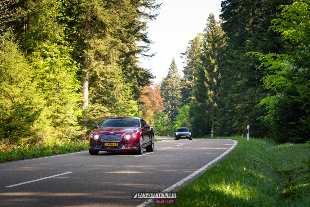 Black Forest 2026