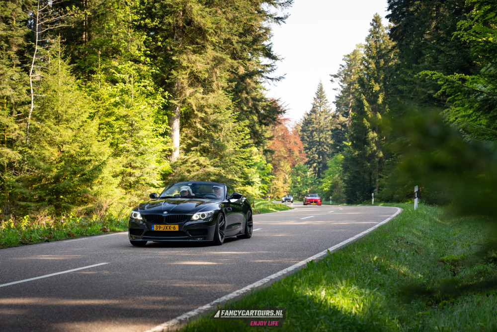 Black Forest 2026