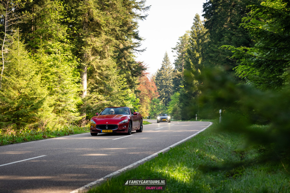 Black Forest 2026