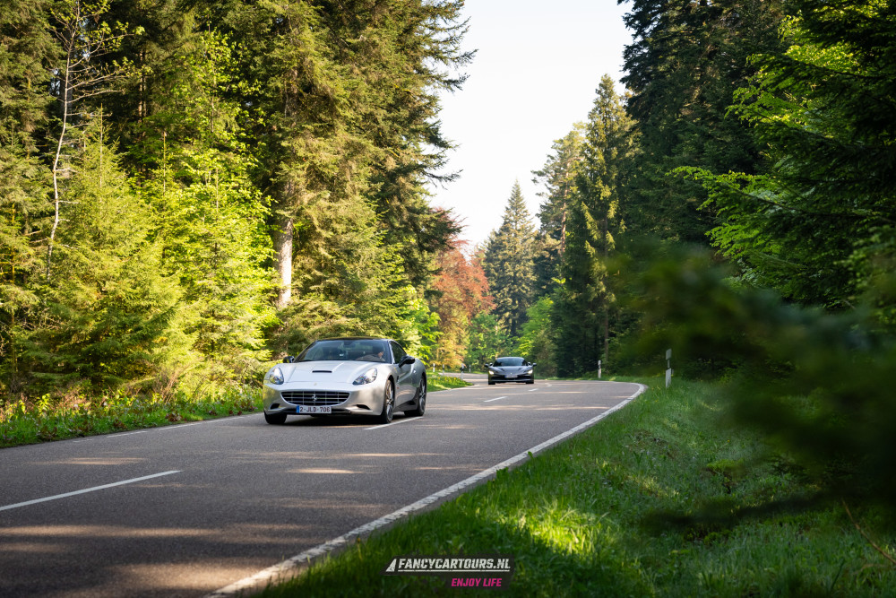 Black Forest 2026