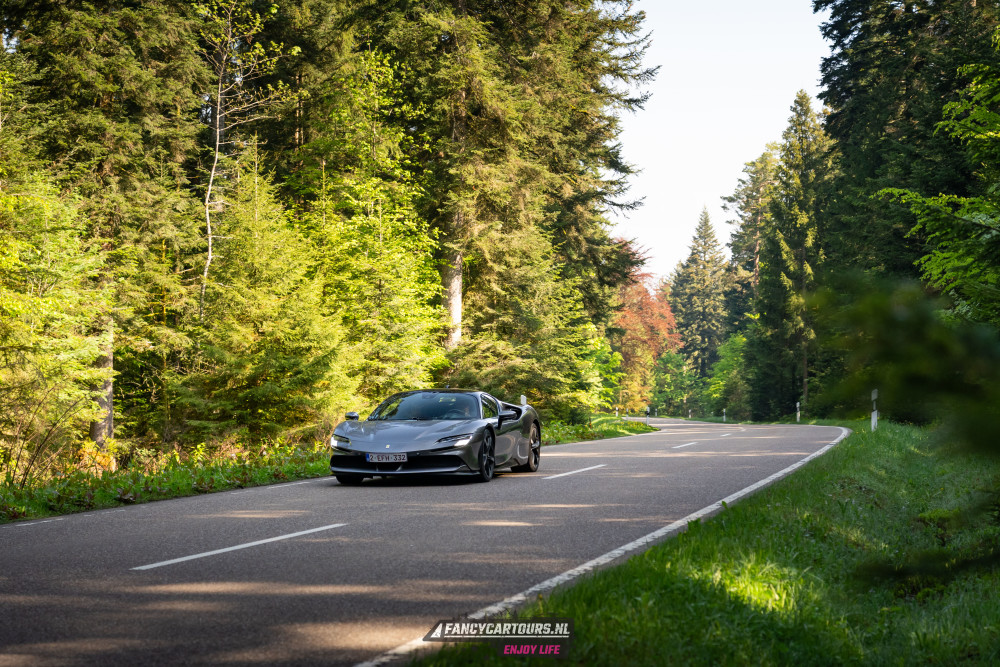 Black Forest 2026