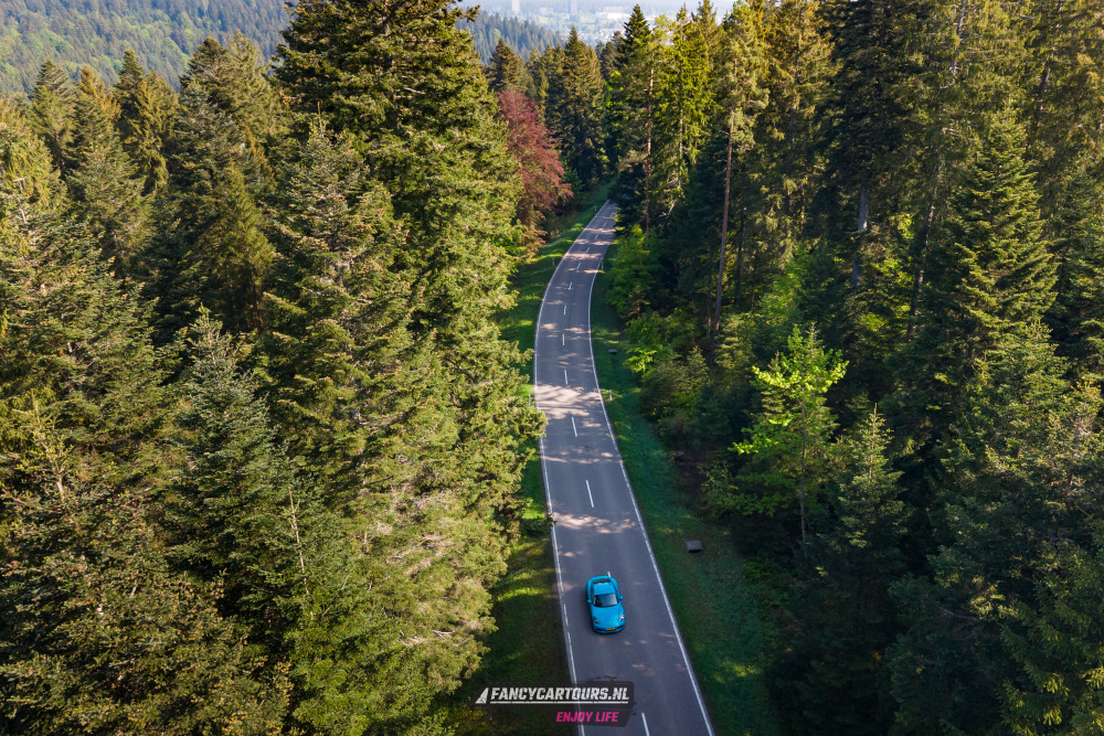 Black Forest 2026