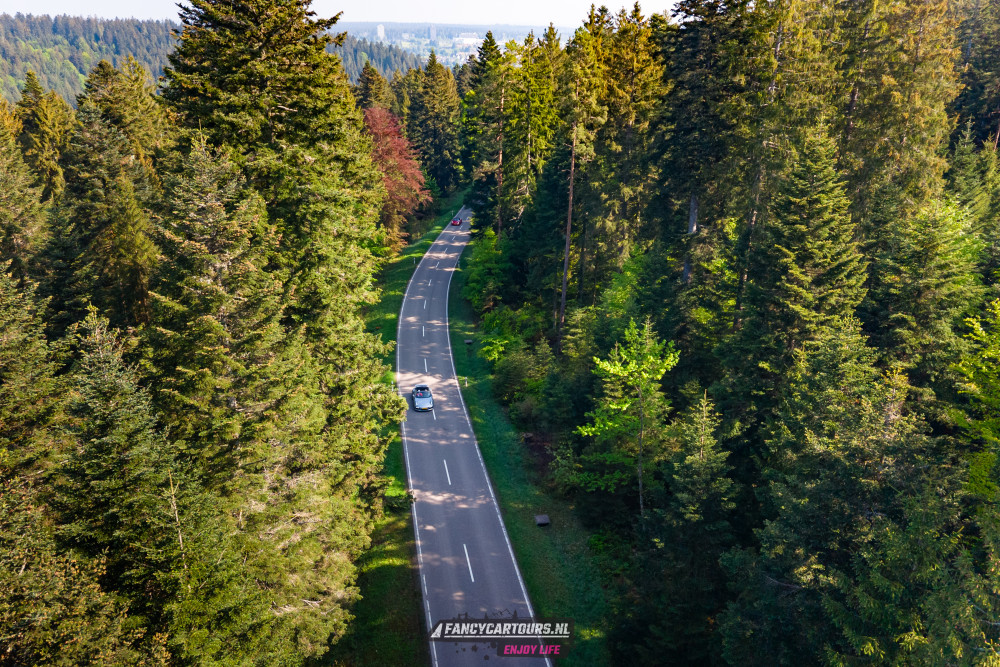 Black Forest 2026