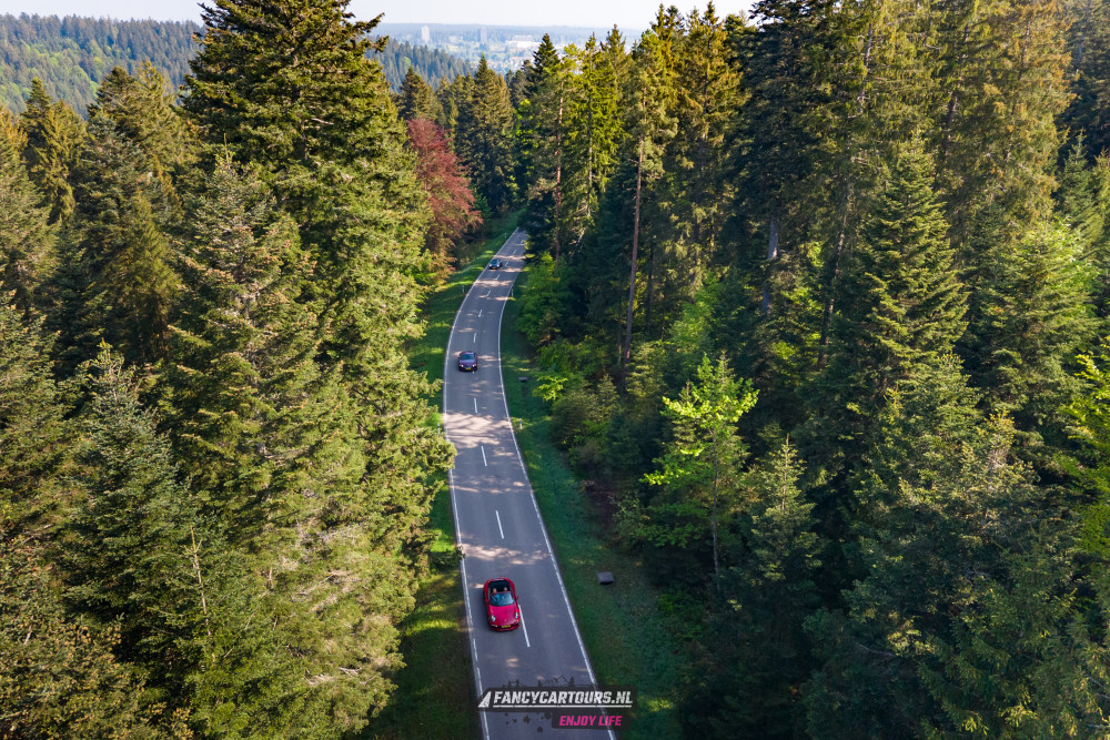 Black Forest 2026