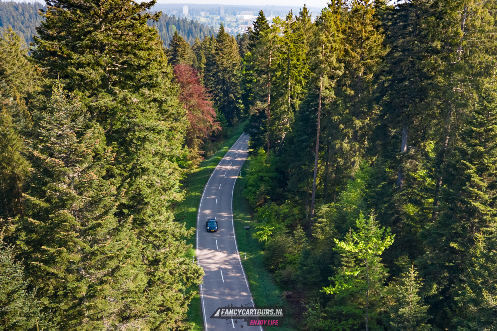 Black Forest 2026